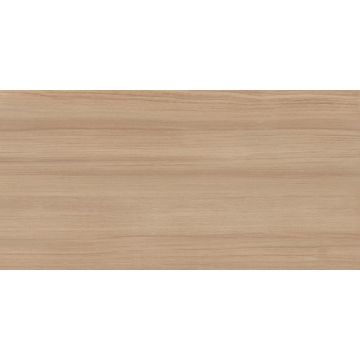 Gresie Alaplana Otway Natural RC Rectificata Mata 60 x 120 cm 