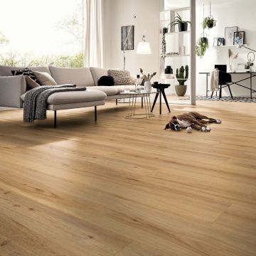 Parchet laminat Kronotex Exquisit Plus 8 mm Stejar ton mediu D80052