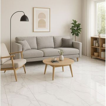 Gresie Emigres Portelanata Alba MAT Gris RC 60x120 cm 8435361909044