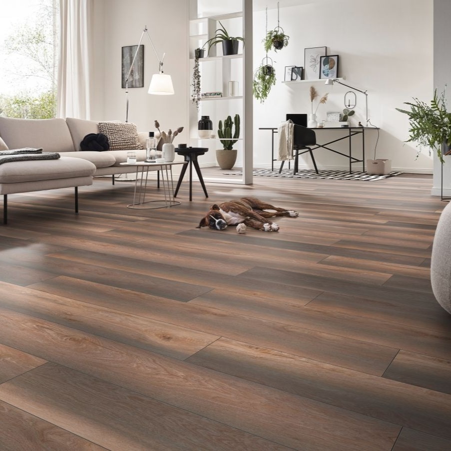 Parchet stejar laminat My Floor Cottage 8 mm ton inchis MV8116